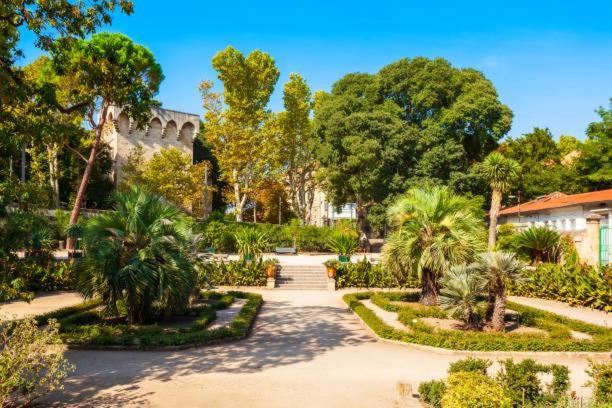 * F3 Haussmannien, Centre-Ville, 4 Pers, Wifi * Montpellier Exterior photo